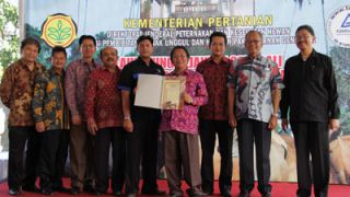 Launching Pejantan sapi Bali di BPTU dan HPT Denpasar